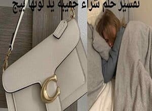 فسر حلمك: أفضل دلائل تفسير حلم شراء حقيبة يد بيج