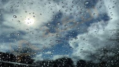 تفسير حلم رؤية الأرض مبللة بماء المطر