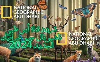 تردد قناة أبو ظبي ناشيونال جيوغرافيك 2024 الجديد