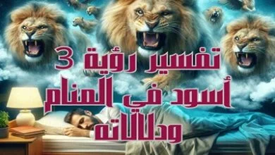 تفسير رؤية 3 أسود في المنام ودلالاته