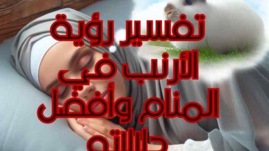 تفسير رؤية الأرنب في المنام وأفضل دلالاته
