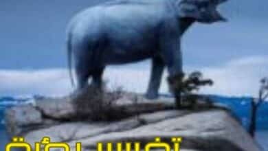تفسير رؤية الفيل في المنام و6 دلالات له