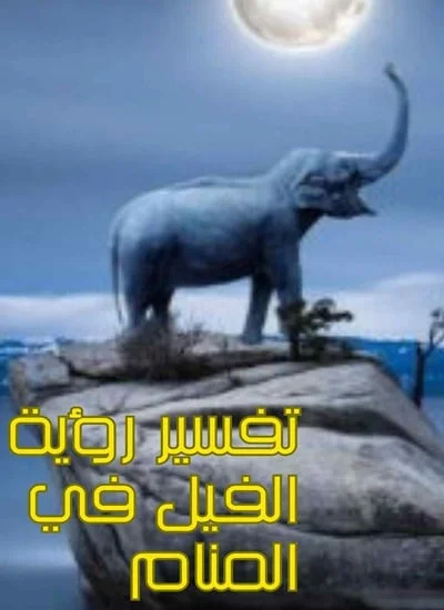 تفسير رؤية الفيل في المنام و6 دلالات له