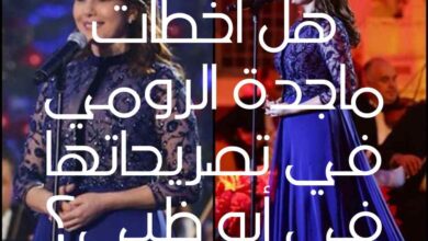 هل أخطأت ماجدة الرومي في تصريحاتها في أبو ظبي؟