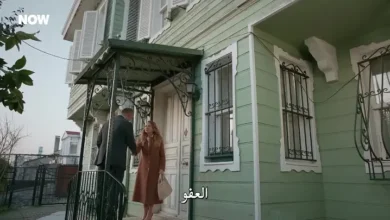 مسلسل المتوحش الحلقة 25