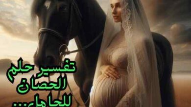 تفسير حلم الحصان للحامل... بشارة خير بجنين ذكر