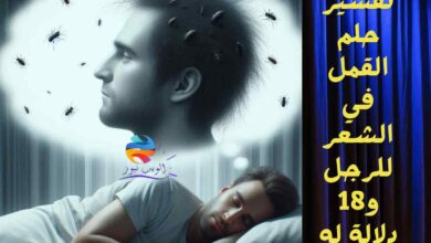 تفسير حلم القمل في الشعر للرجل و18 دلالة له