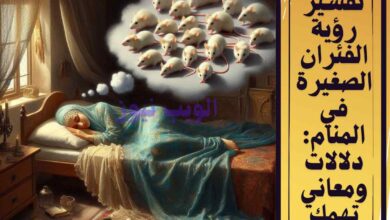 تفسير رؤية الفئران الصغيرة في المنام وأهم 3دلالات