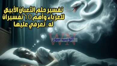 تفسير حلم الثعبان الأبيض للعزباء وأهم 10 تفسيرات له..تعرفي عليها
