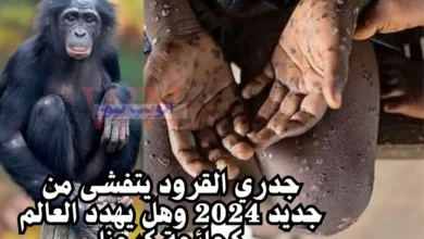 جدري القرود يتفشى من جديد 2024 وهل يهدد العالم كجائحة كرونا